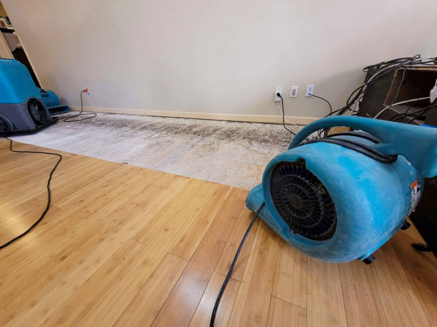 Professional Sewage Cleanup technician working in San Luis, AZ